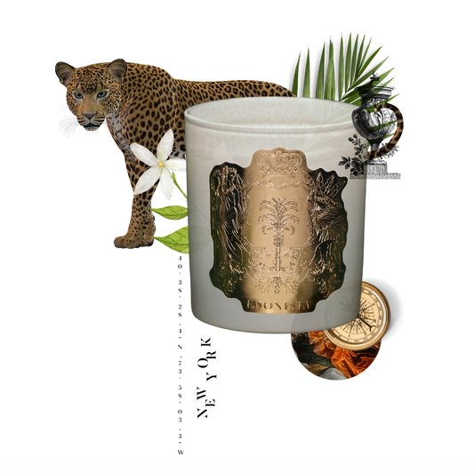 Edonista Candle